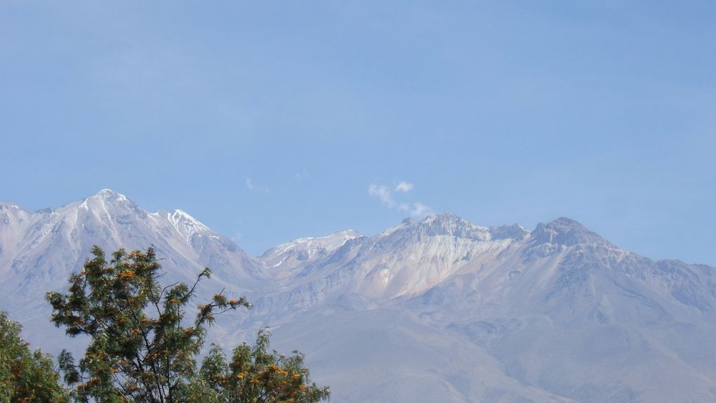 Album - Arequipa et Canyon de Colca