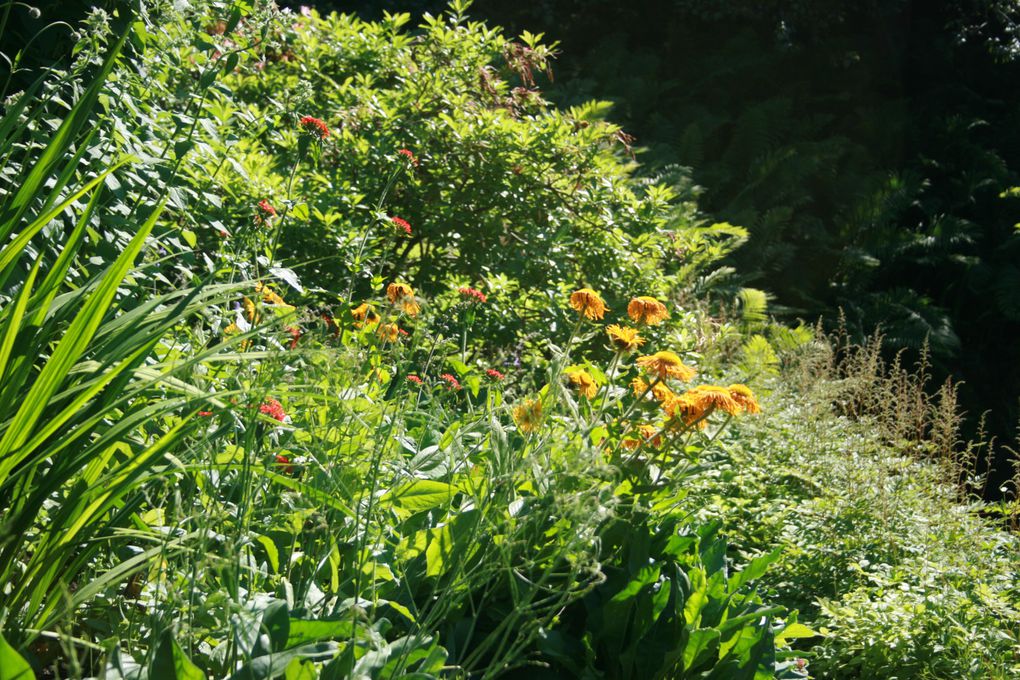 Album - Jardin-Metis