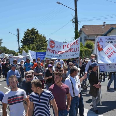 SAUMON : UNE VAGUE DE PROTESTATION A ENVAHI LE PORT DE BAYONNE POUR DIRE STOP A LA PECHE AUX FILETS DERIVANTS