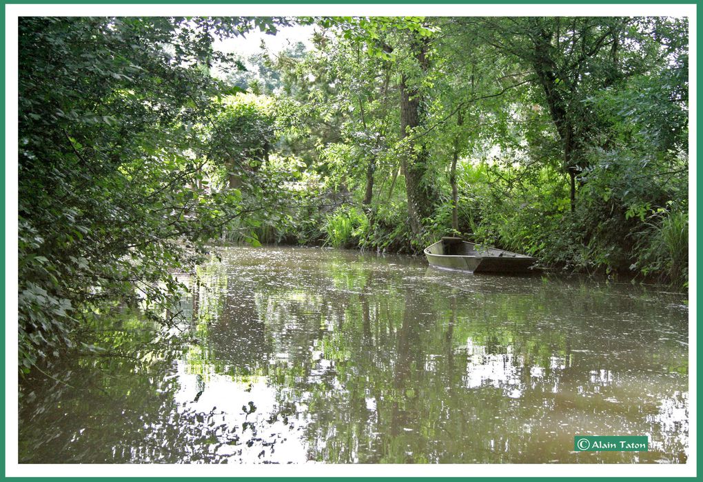 Album - le-marais-Poidevin