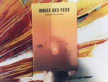 Indice des feux