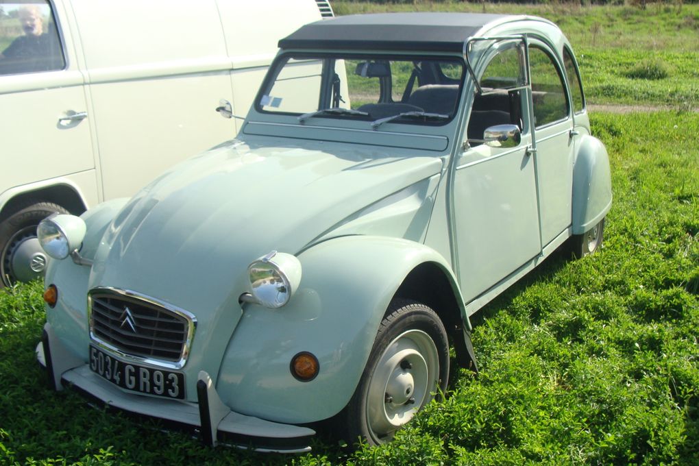 &quot;Les Belles Du Vert Galant chez Truffaut Villeparisis