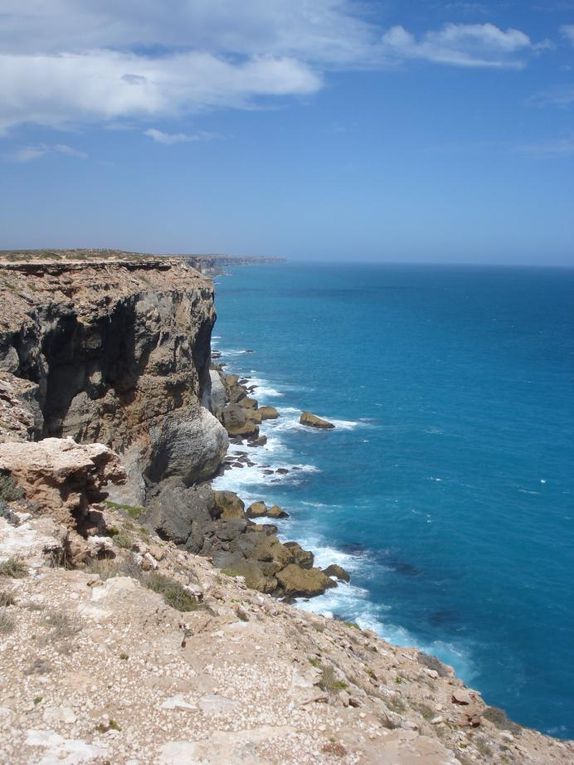 Perth, Cape to Cape, Vallée des Géants, Esperance, Nullarbor, Eyre Peninsula, Port Augusta, Adélaïde