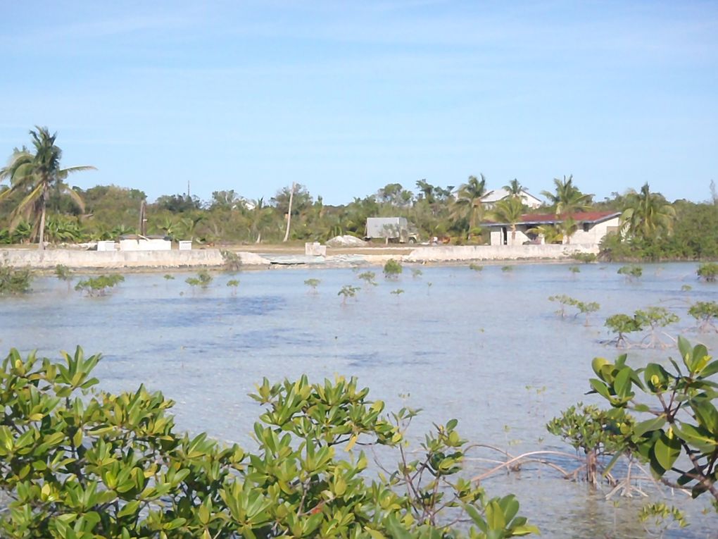 Album - me-et-mme-tarot-et-leur-fils-aux-bahamas