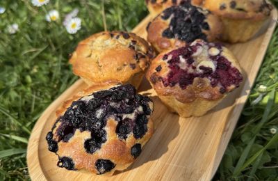 MUFFINS GOURMANDS PRINTANNIER