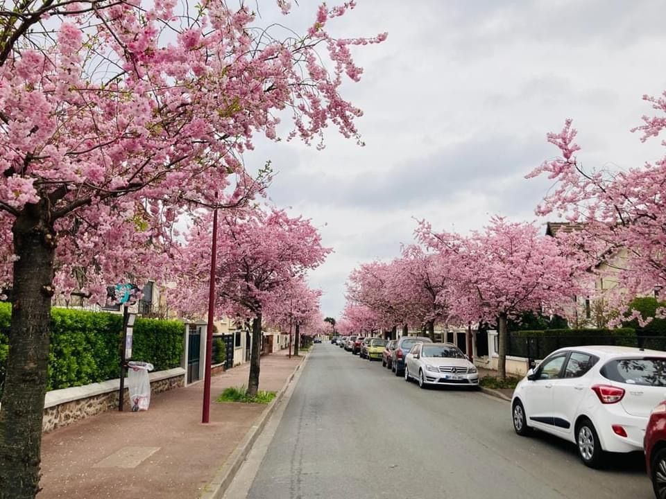 Nature en ville