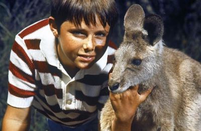 Skippy le Kangourou, série TV