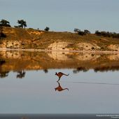 Les 35 plus belles photos du grand prix National Geographic 2014 vont vraiment vous émerveiller...