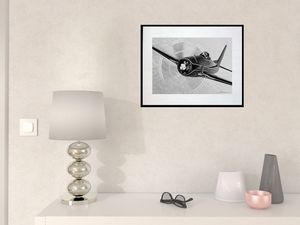 photo-avion-grumman-F8F-beacat-AV2094