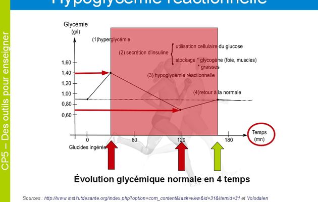 Petit-Déjeuner, comment il peut influencer votre journée et votre santé