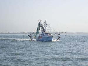 Arrivée à Beaufort