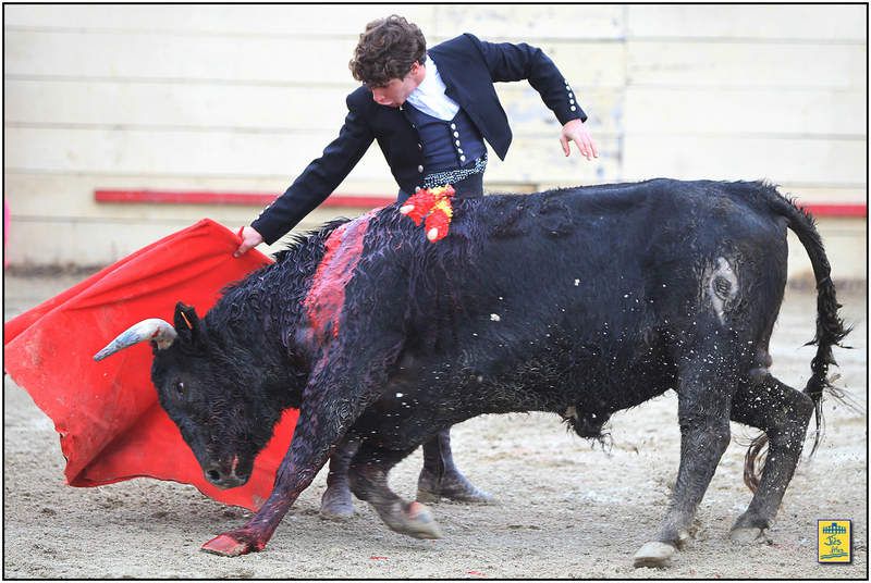 DIAPORAMA DE LA FAENA DE FERNANDO REY