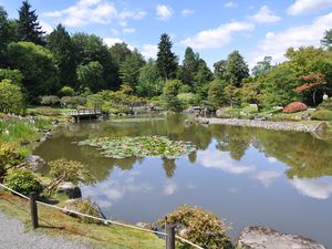 Japanese garden