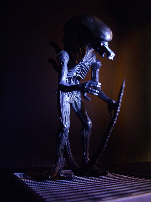 Figurines Gashapons de la marque KONAMI d'environ 15 cm de hauteur.
Malgré leurs tailles ces figurines sont ultra détaillées.