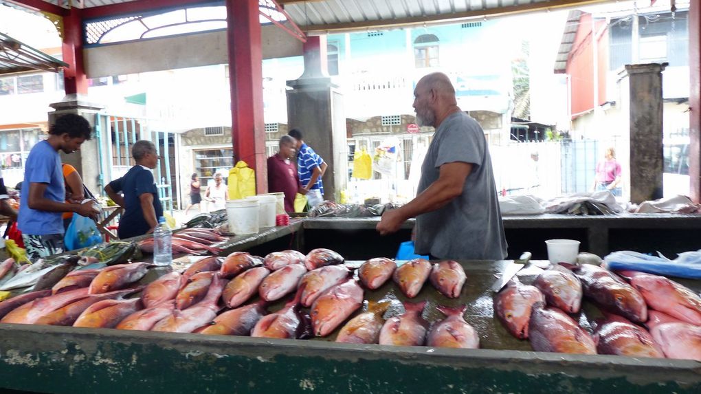 Album - 157--Seychelles--Praslin--Mahe--et-les-autres-