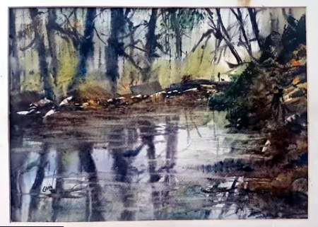 Dessin et peinture - vidéo 2084 : Peindre à l'aquarelle, un cours d'eau en sous-bois, à partir d'une photographie prise sur site