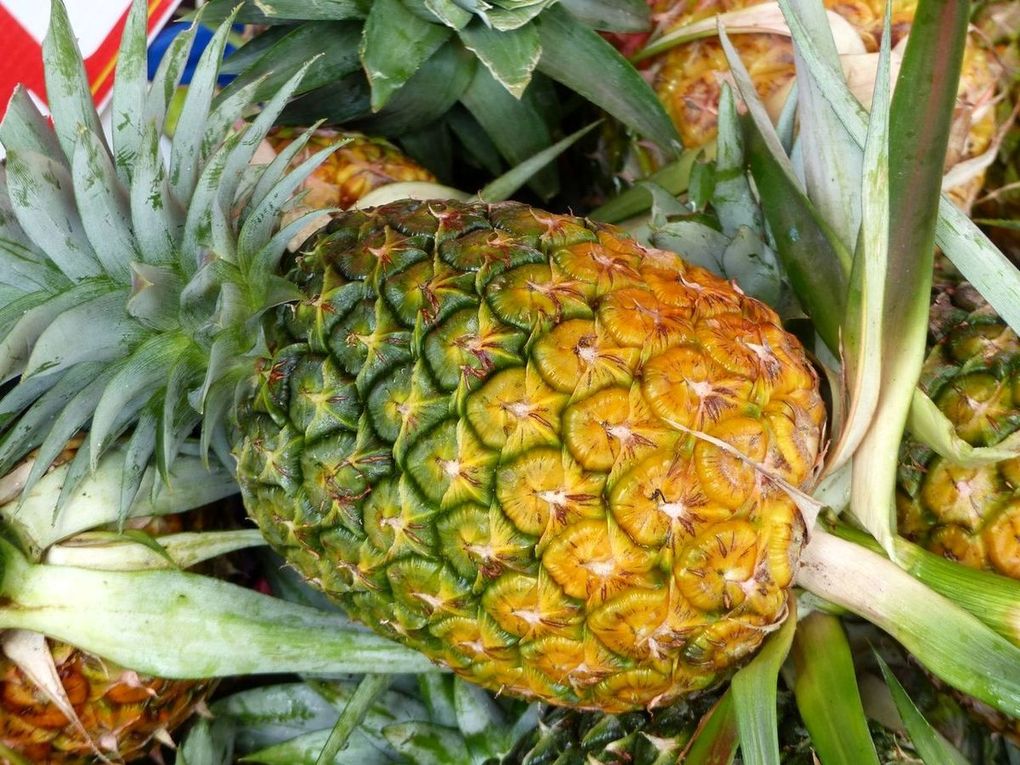 Une journée à Rayong : fruits, plage, temple...