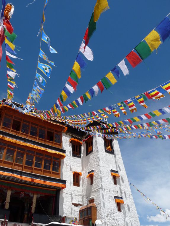 Album - Ladakh-2010