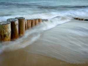 Autour du Cap Ferret : Visions rapprochées