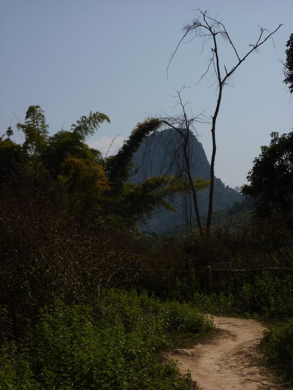 Descente de la Nam Ou river et balades magnifiques