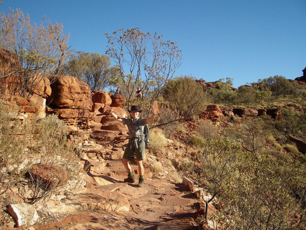 Album - The-Ultimate-Oz-Experience-2--Outback--The-Olgas---Ayers-Rock---Kings Canyon