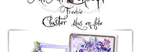Cluster Lilas en folie