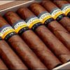 Cohiba Maduro The best of cigars online Liberte56.lu