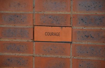 Le courage est une affaire de seuil, de saut. Il y a un art de commencer. Le courage relève de la décision pure, celle qui fait l'origine.