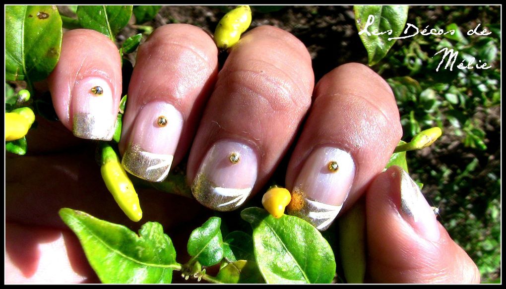 Album - Nail art avant 2012