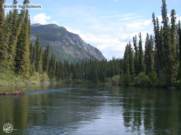 Été 2008 : Rivières Big Salmon et Yukon