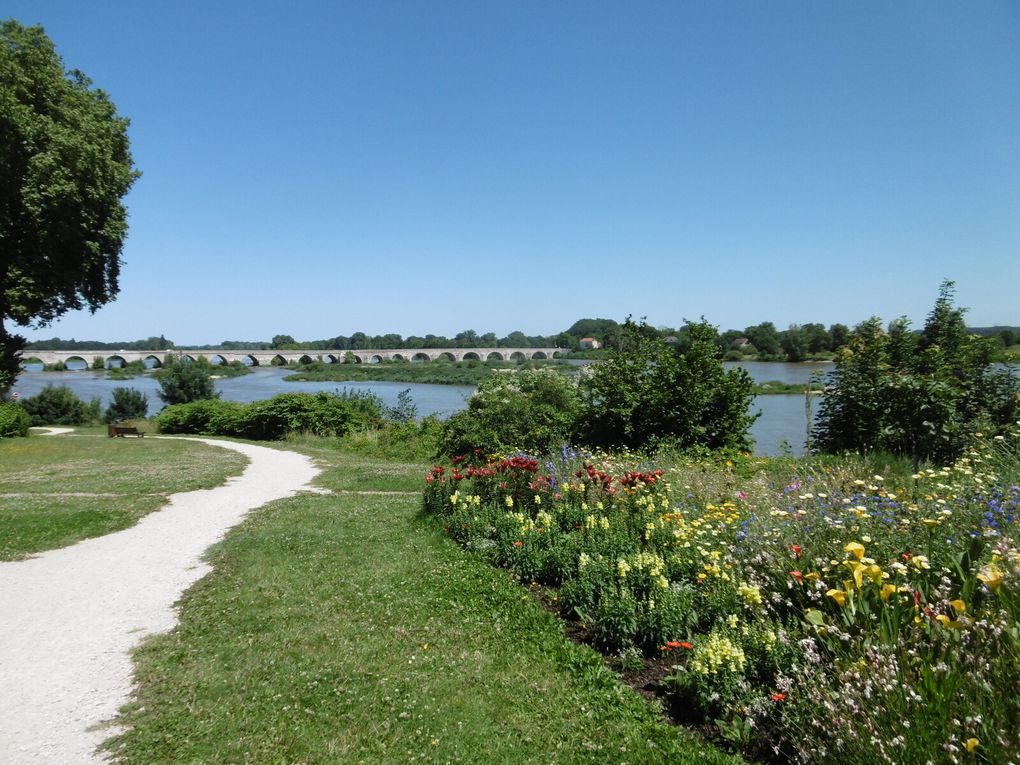 arrivée à Beaugency puis à Meung sur Loire - bivouac et repas du soir