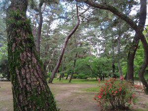 Jardin Koraku-en et ville de Kurashiki
