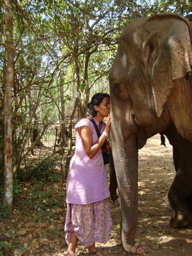 STUNG TRENG
BANLUNG
KRATIE
ALONG VENG . temple du Preah Vihar
SIEM REAP . temples ANGKOR
...