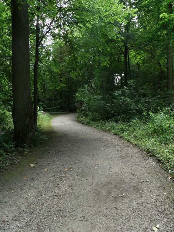 Promenade nature au Domaine provincial d'Hélécine - Hesbaye.