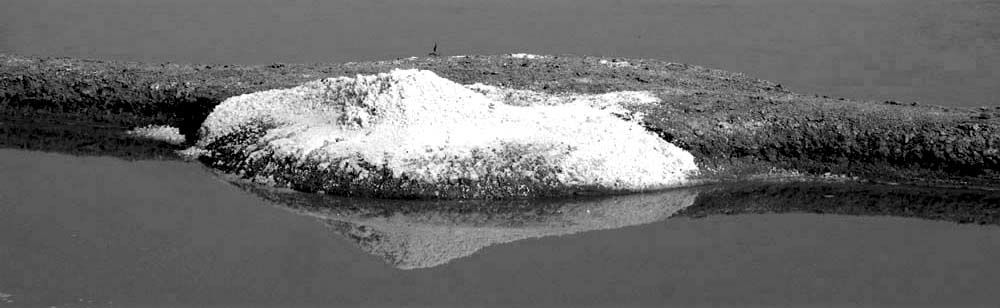 Album - Les Marais-salants de Guerande en noir et blanc