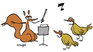 Les chants d'oiseaux.