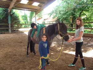 Stage Equitation Comines - 3 au 7 Aout