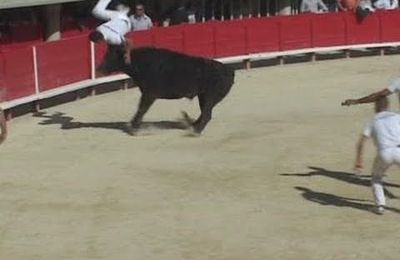 Lunel le 17 avril, Amine Chekade blessé gravement par Garlan des Baumelles