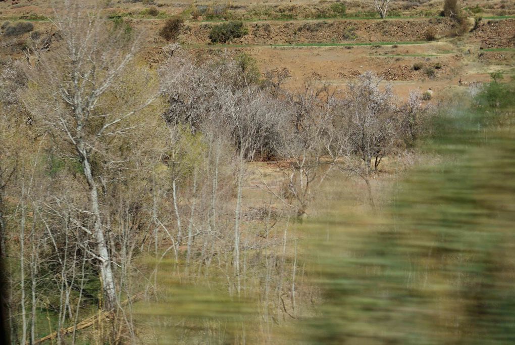 Album - 20110225 - Agdz - Marrakech - 2