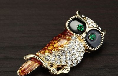 Vintage Golden Rhinestone Owl Brooch Pin And Pendant