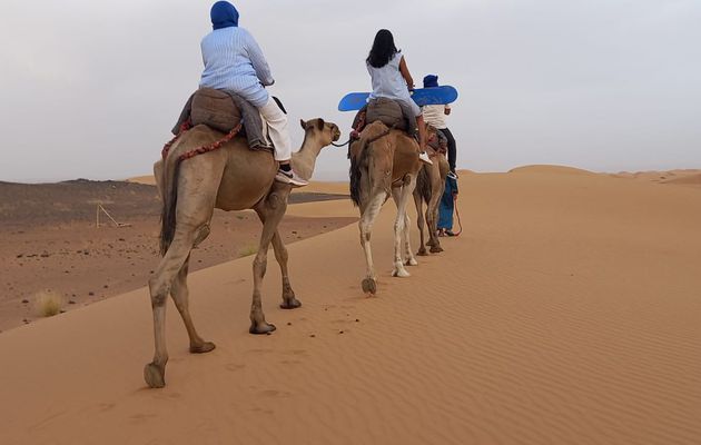 Excursion Marrakech desert Fes