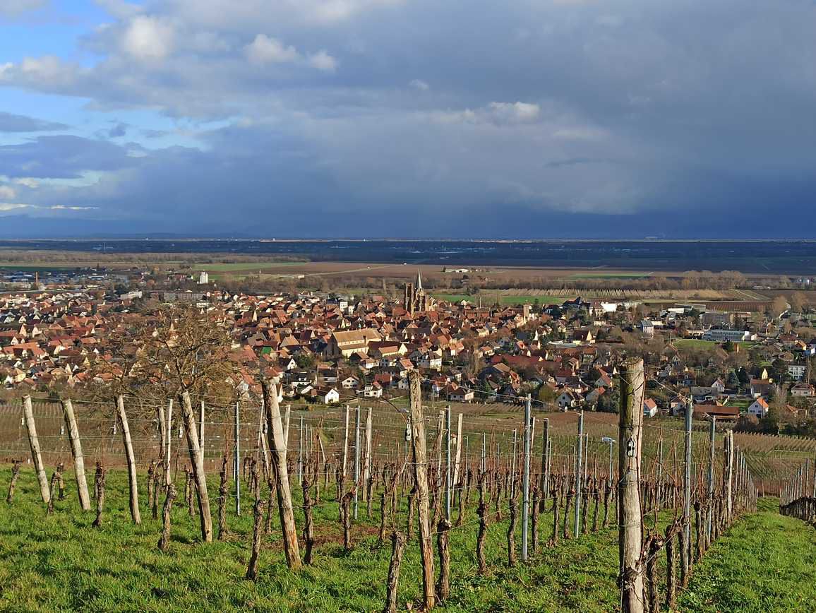 ROUFFACH ET SES COLLINES (R 572) - 11,68 km  ~ D+258 m  ~ 4 h ~ Assez facile (2,5/6) ~ *** ~  Compatible VTT-VAE