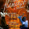 Cours de flamenco & sévillanes Mazamet/Graulhet