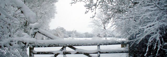 Un grand manteau blanc recouvre la campagne