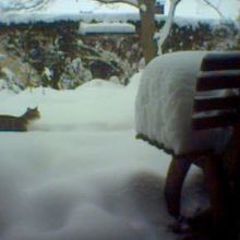 un hiver exceptionnel - le jura souabe en 2005