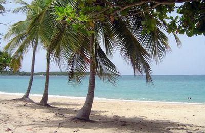 Guía turística recomendable por Vieques, Puerto Rico