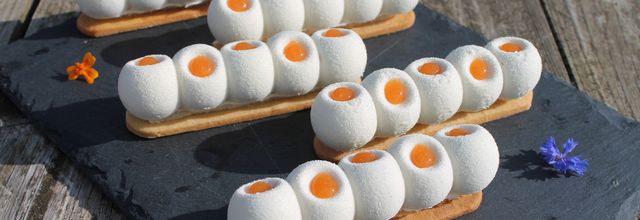 Mon Entremets pêche abricot et romarin