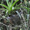 Jungle: De Quilotoa à Papallacta en passant par la réserve de Cuyabeno