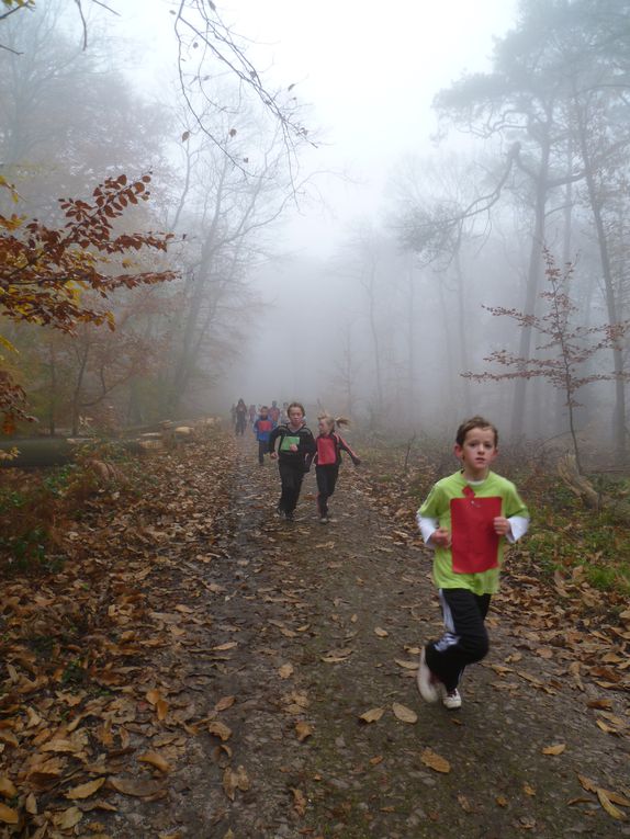 Les CE2, CM1 et CM2 de Brossolette ont participé au cross organisé par l'Office Municipal des Sports en forêt des Essarts