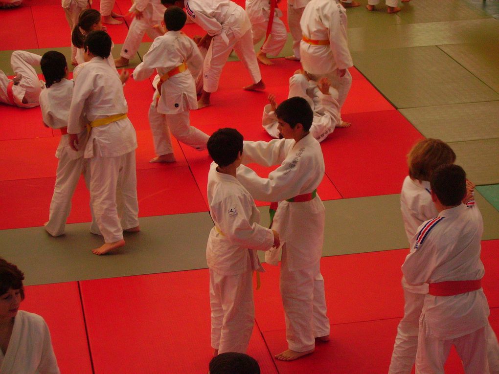 Stage d'arbitre et compétition "4 Saisons " & " Petits Tigres ". Et participation de Frédéric Demontfaucon, champion du monde en 2001 et médaille de bronze aux Jeux Olympiques de Sidney 2000.